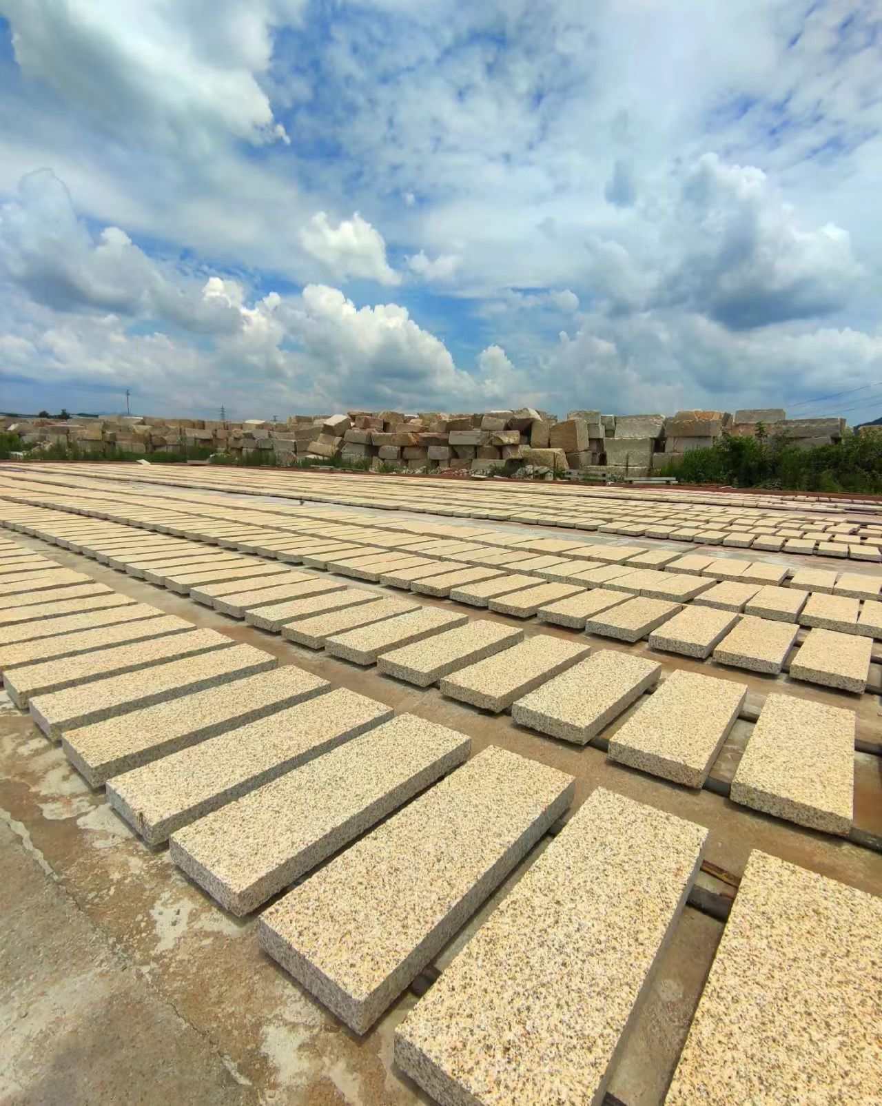 吐鲁番 黄金麻花岗岩荔枝面地铺石防护中